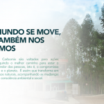 banner-sustentabilidade-01]